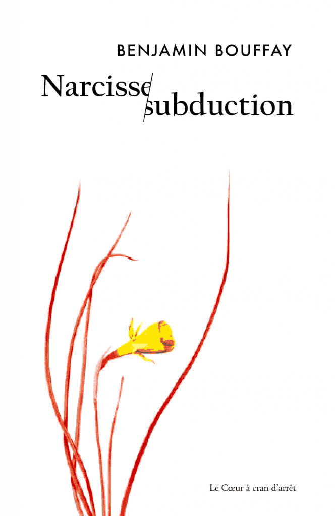 Narcisse Subduction // Couverture