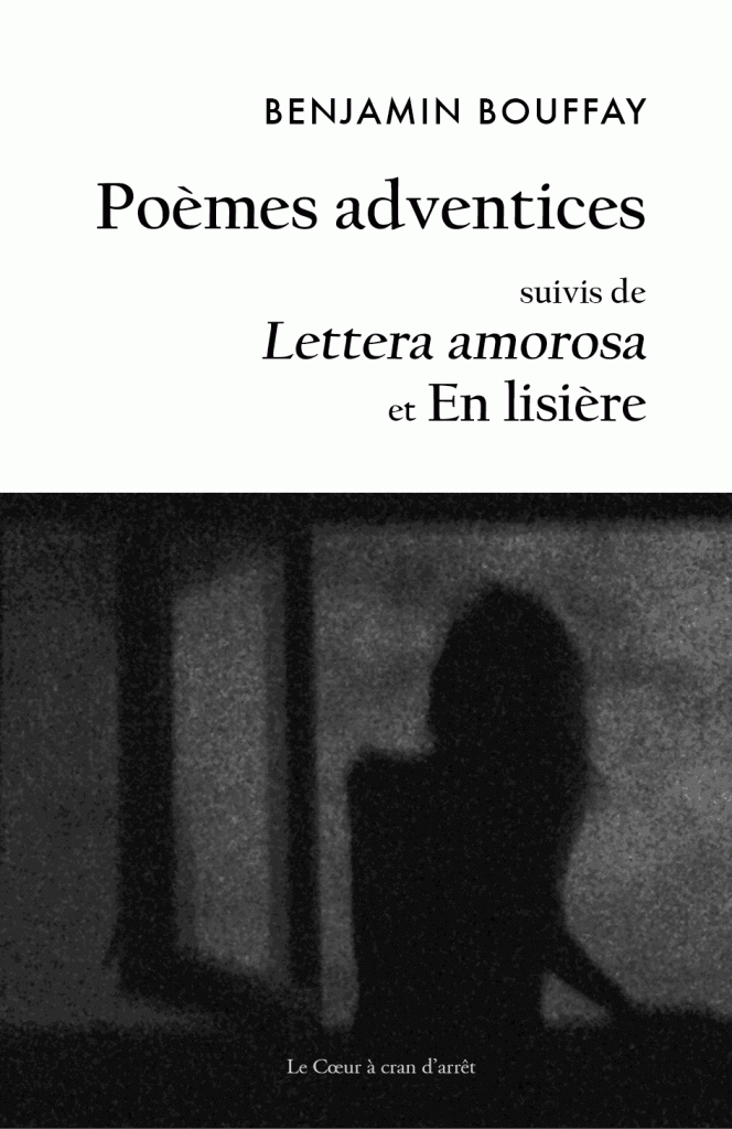 Poèmes adventices // Couverture