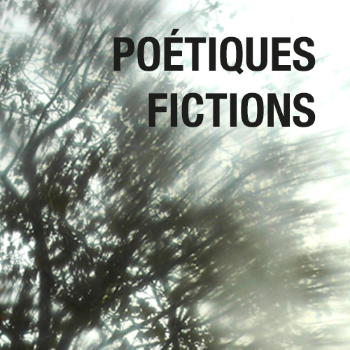 Poétiques fictions